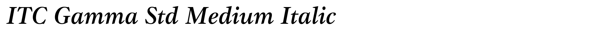 ITC Gamma Std Medium Italic image